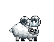 Silver Champion Ram